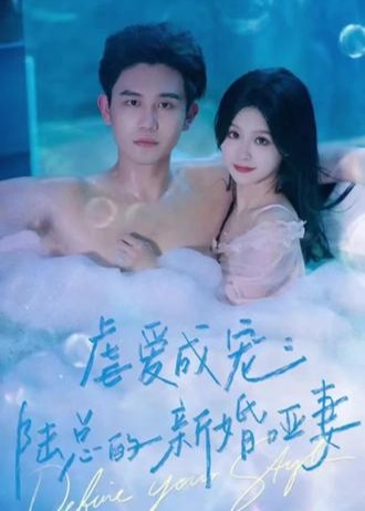 虐爱成宠陆总的新婚哑妻